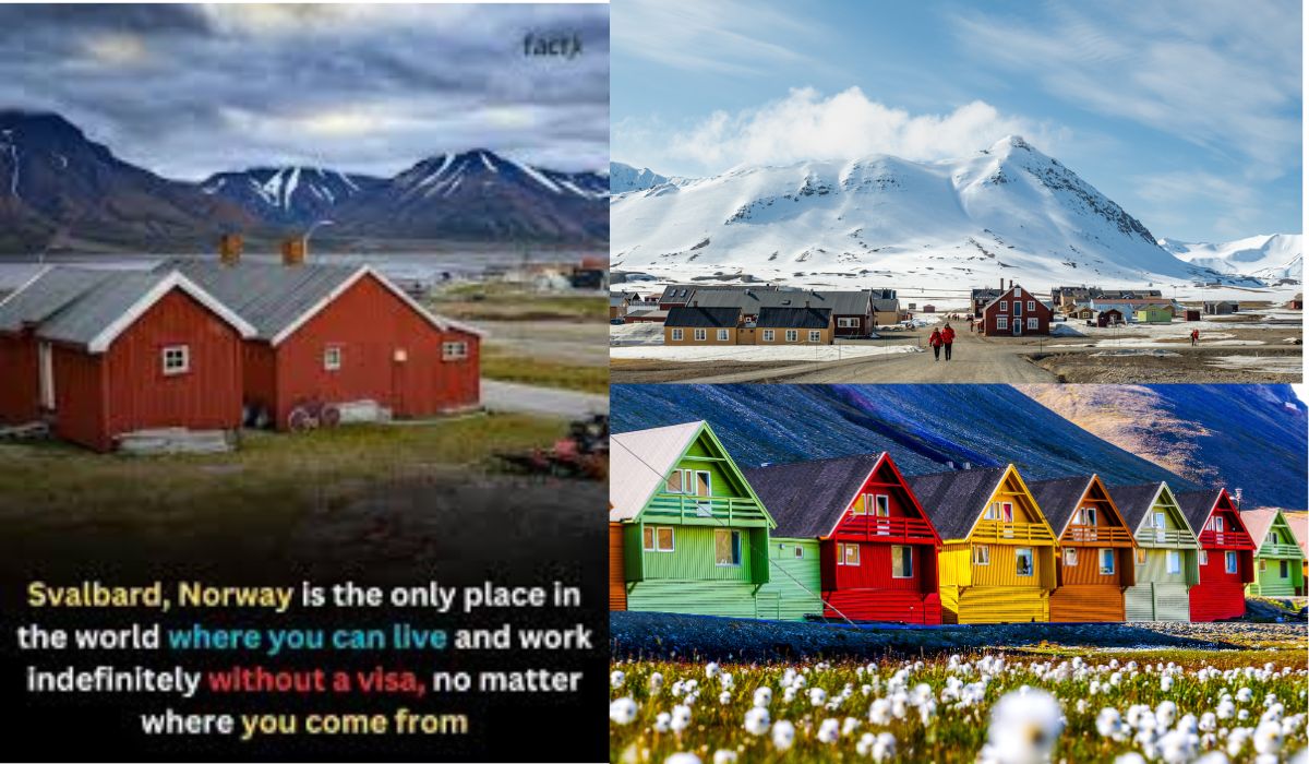Live in Svalbard & Work Without a Visa | A Unique Opportunity in Norway