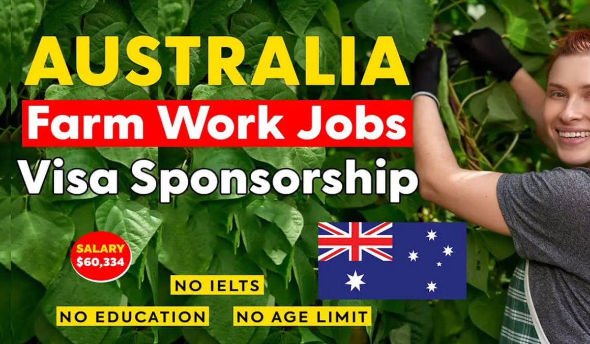 Fruit Picking Jobs in Australia 2025 with Visa Sponsorship For Foreigners